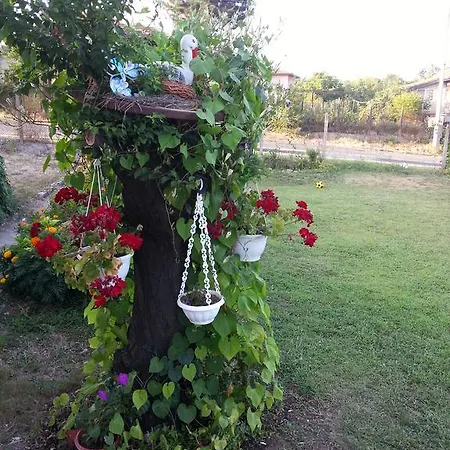 House Deni *