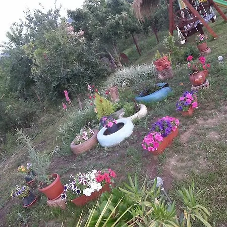Hébergement de vacances House Deni *